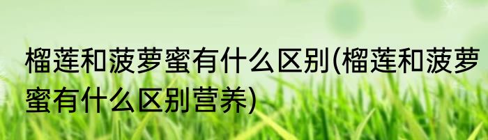 榴莲和菠萝蜜有什么区别(榴莲和菠萝蜜有什么区别营养)