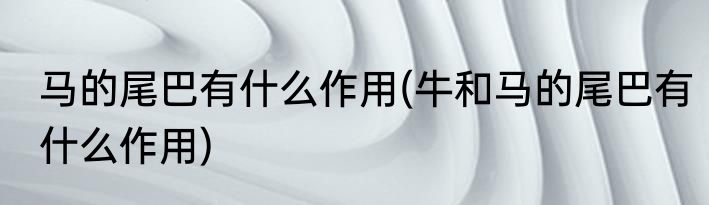 马的尾巴有什么作用(牛和马的尾巴有什么作用)