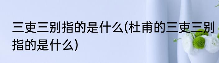 三吏三别指的是什么(杜甫的三吏三别指的是什么)