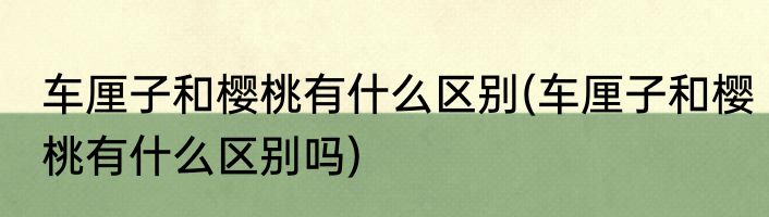 车厘子和樱桃有什么区别(车厘子和樱桃有什么区别吗)