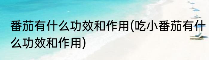 番茄有什么功效和作用(吃小番茄有什么功效和作用)