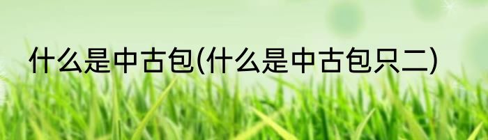 什么是中古包(什么是中古包只二)