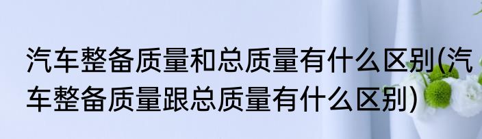 汽车整备质量和总质量有什么区别(汽车整备质量跟总质量有什么区别)
