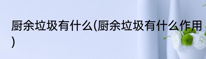 厨余垃圾有什么(厨余垃圾有什么作用)