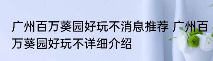广州百万葵园好玩不消息推荐 广州百万葵园好玩不详细介绍