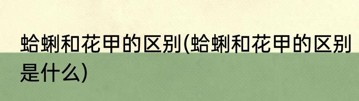 蛤蜊和花甲的区别(蛤蜊和花甲的区别是什么)