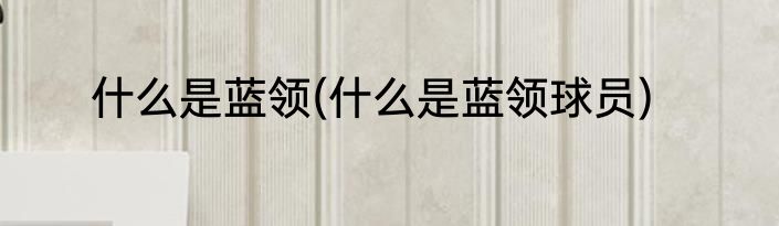 什么是蓝领(什么是蓝领球员)
