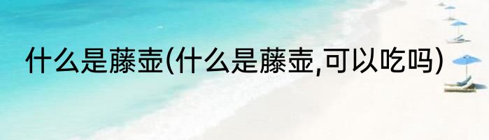 什么是藤壶(什么是藤壶,可以吃吗)