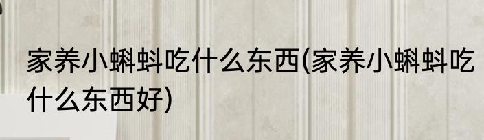 家养小蝌蚪吃什么东西(家养小蝌蚪吃什么东西好)