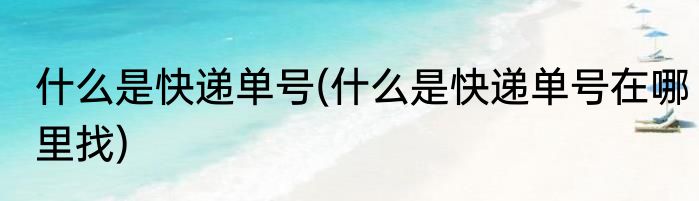 什么是快递单号(什么是快递单号在哪里找)