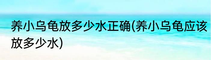 养小乌龟放多少水正确(养小乌龟应该放多少水)