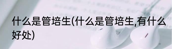 什么是管培生(什么是管培生,有什么好处)