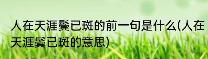人在天涯鬓已斑的前一句是什么(人在天涯鬓已斑的意思)