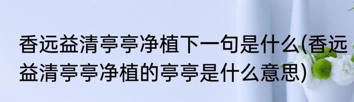 香远益清亭亭净植下一句是什么(香远益清亭亭净植的亭亭是什么意思)
