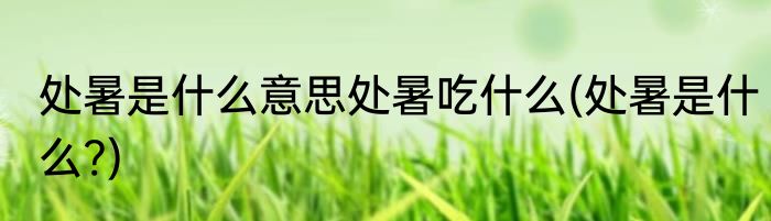 处暑是什么意思处暑吃什么(处暑是什么?)