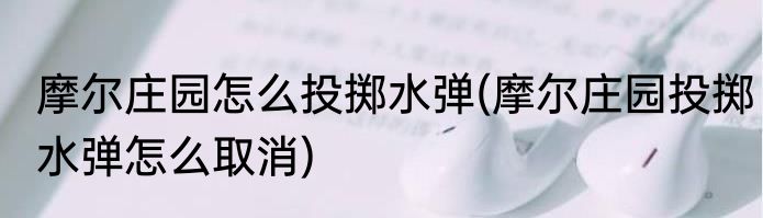 摩尔庄园怎么投掷水弹(摩尔庄园投掷水弹怎么取消)