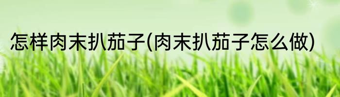 怎样肉末扒茄子(肉末扒茄子怎么做)