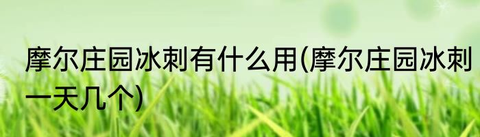 摩尔庄园冰刺有什么用(摩尔庄园冰刺一天几个)