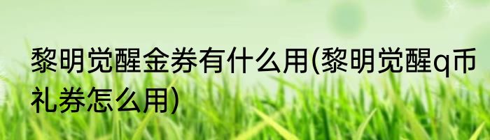 黎明觉醒金券有什么用(黎明觉醒q币礼券怎么用)