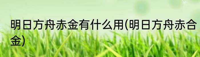 明日方舟赤金有什么用(明日方舟赤合金)
