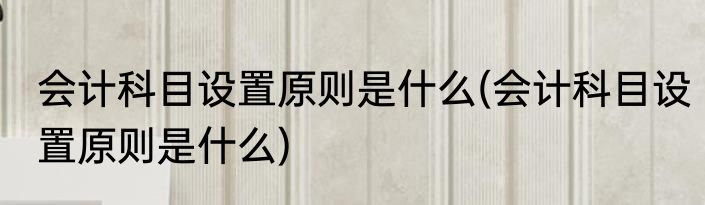 会计科目设置原则是什么(会计科目设置原则是什么)