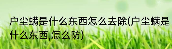 户尘螨是什么东西怎么去除(户尘螨是什么东西,怎么防)