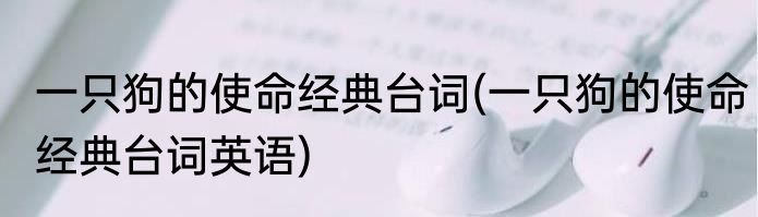 一只狗的使命经典台词(一只狗的使命经典台词英语)