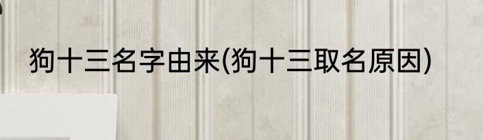 狗十三名字由来(狗十三取名原因)