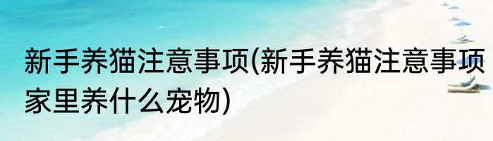 新手养猫注意事项(新手养猫注意事项家里养什么宠物)