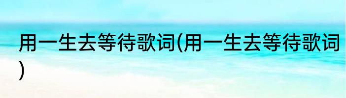 用一生去等待歌词(用一生去等待歌词)