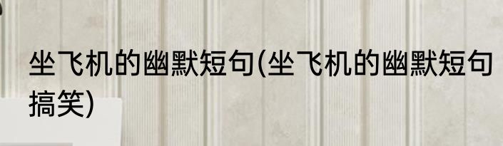 坐飞机的幽默短句(坐飞机的幽默短句搞笑)