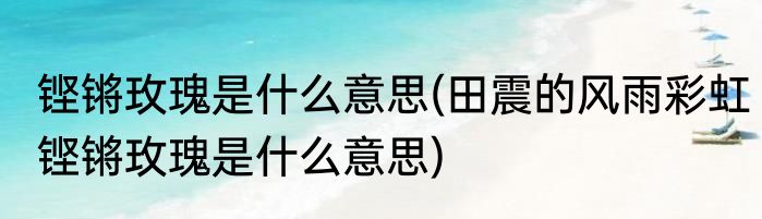 铿锵玫瑰是什么意思(田震的风雨彩虹铿锵玫瑰是什么意思)