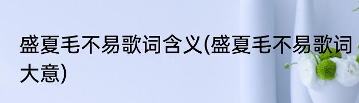 盛夏毛不易歌词含义(盛夏毛不易歌词大意)