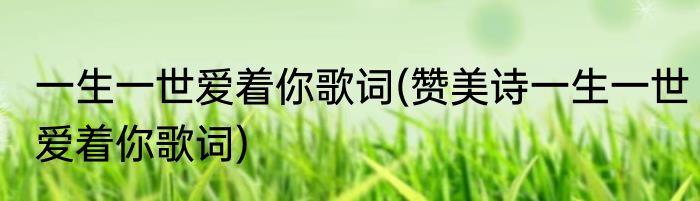 一生一世爱着你歌词(赞美诗一生一世爱着你歌词)