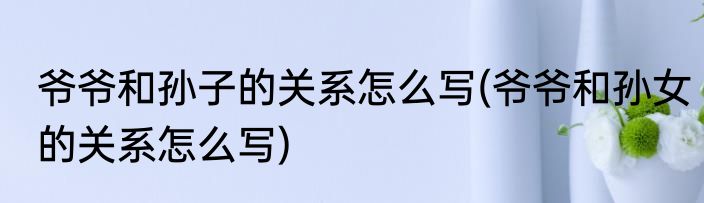 爷爷和孙子的关系怎么写(爷爷和孙女的关系怎么写)