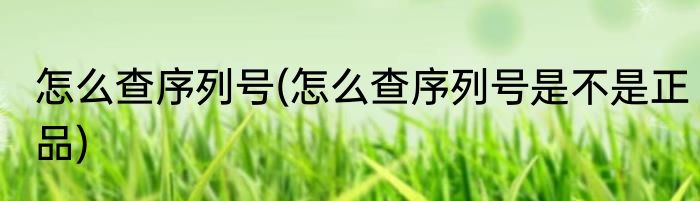 怎么查序列号(怎么查序列号是不是正品)