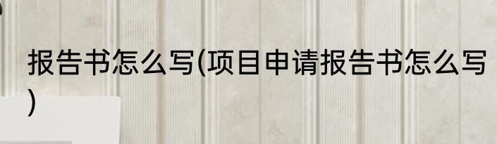 报告书怎么写(项目申请报告书怎么写)