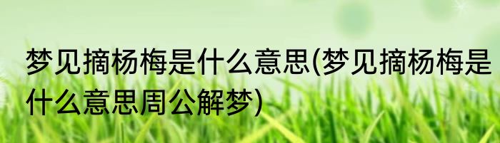 梦见摘杨梅是什么意思(梦见摘杨梅是什么意思周公解梦)