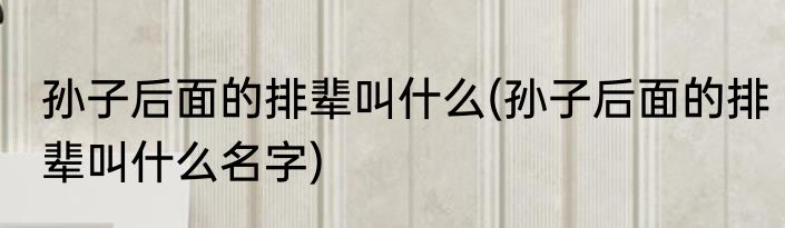 孙子后面的排辈叫什么(孙子后面的排辈叫什么名字)
