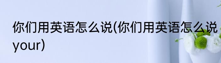 你们用英语怎么说(你们用英语怎么说your)