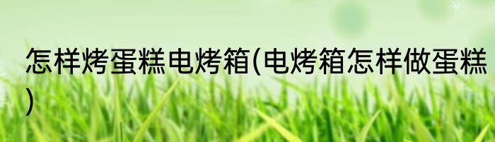 怎样烤蛋糕电烤箱(电烤箱怎样做蛋糕)