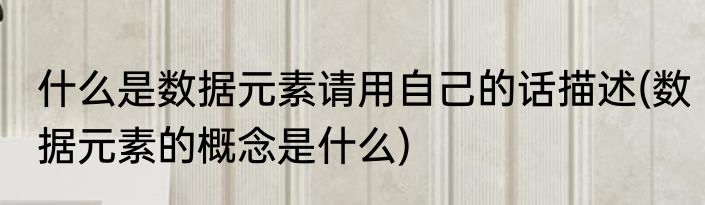 什么是数据元素请用自己的话描述(数据元素的概念是什么)