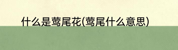 什么是莺尾花(莺尾什么意思)