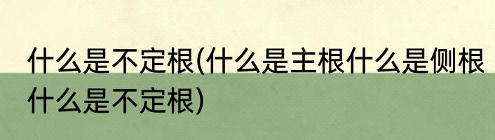 什么是不定根(什么是主根什么是侧根什么是不定根)