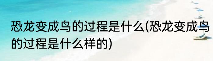 恐龙变成鸟的过程是什么(恐龙变成鸟的过程是什么样的)