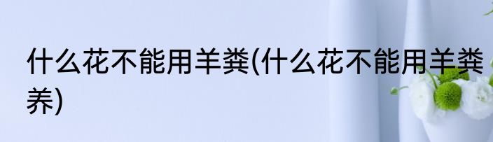 什么花不能用羊粪(什么花不能用羊粪养)