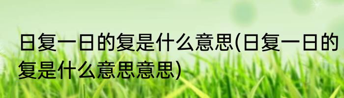 日复一日的复是什么意思(日复一日的复是什么意思意思)