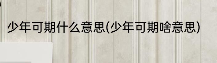 少年可期什么意思(少年可期啥意思)