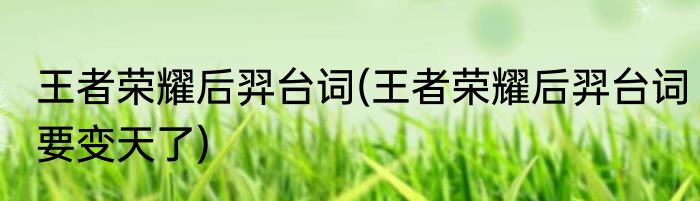 王者荣耀后羿台词(王者荣耀后羿台词要变天了)