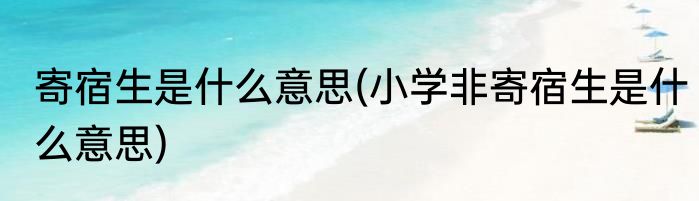 寄宿生是什么意思(小学非寄宿生是什么意思)